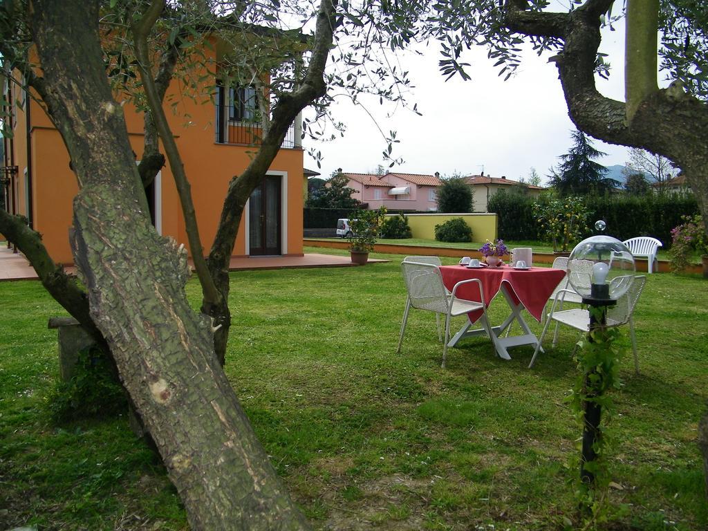 Triolivo B&B Lucca Exterior foto