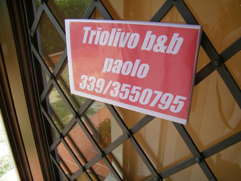 Triolivo B&B Lucca Exterior foto